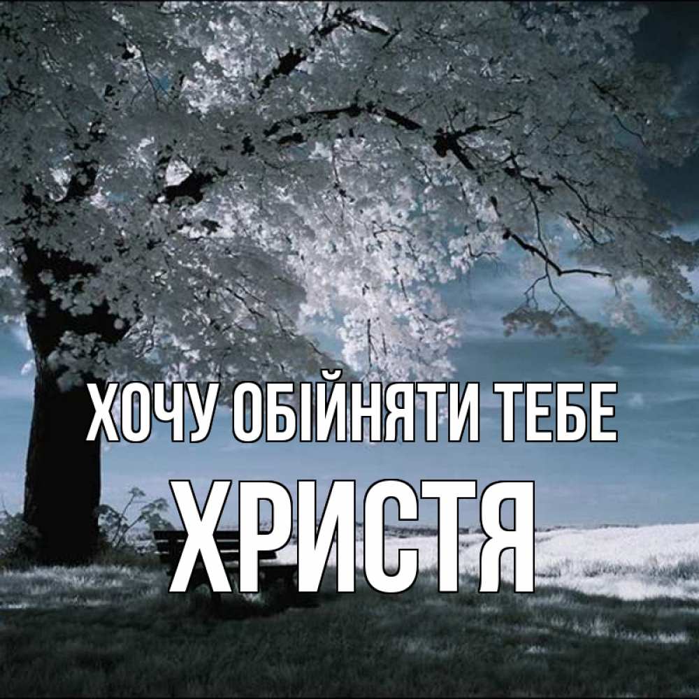 Открытка на каждый день з підписом, Христя Хочу обійняти тебе дерево Прикольна листівка з побажанням онлайн скачати безкоштовно 