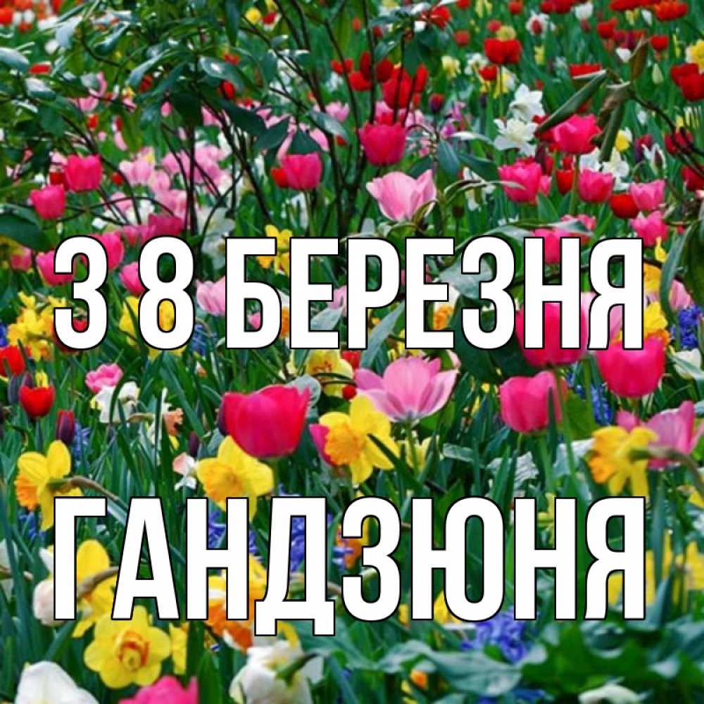 Открытка на каждый день з підписом, Гандзюня З 8 БЕРЕЗНЯ с международным женским днем поздравления для женщины Прикольна листівка з побажанням онлайн скачати безкоштовно 