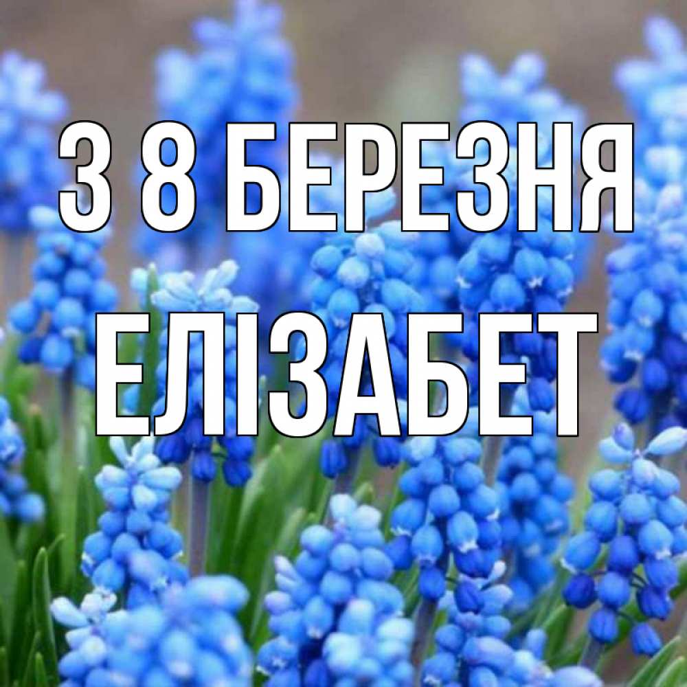Открытка на каждый день з підписом, Елізабет З 8 БЕРЕЗНЯ Поздравительная открытка для женщин с цветами на праздничную дату Прикольна листівка з побажанням онлайн скачати безкоштовно 