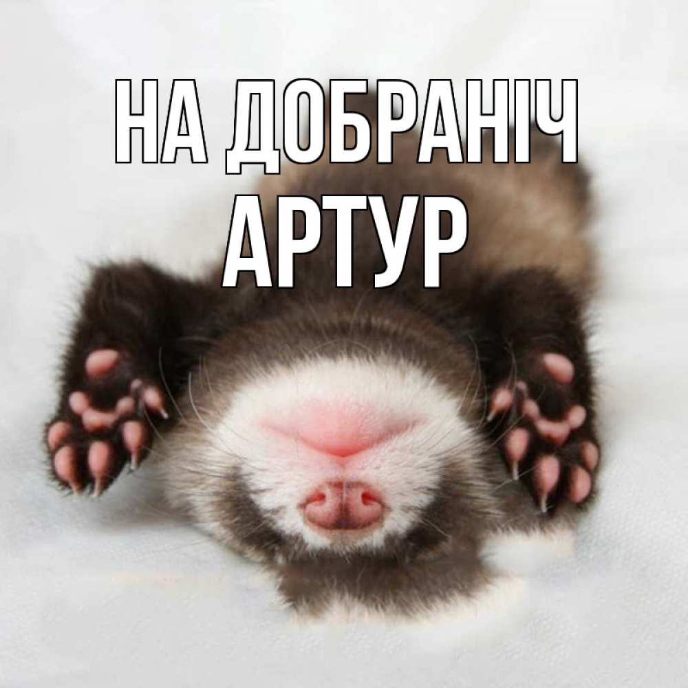 Открытка на каждый день з підписом, Артур На добраніч зверек Прикольна листівка з побажанням онлайн скачати безкоштовно 