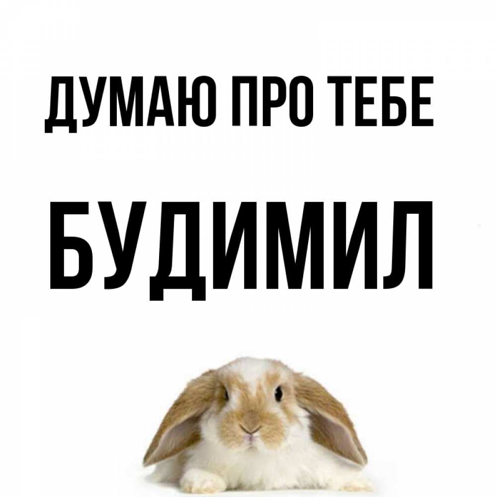 Открытка на каждый день з підписом, Будимил Думаю про тебе подписать своими руками онлайн Прикольна листівка з побажанням онлайн скачати безкоштовно 