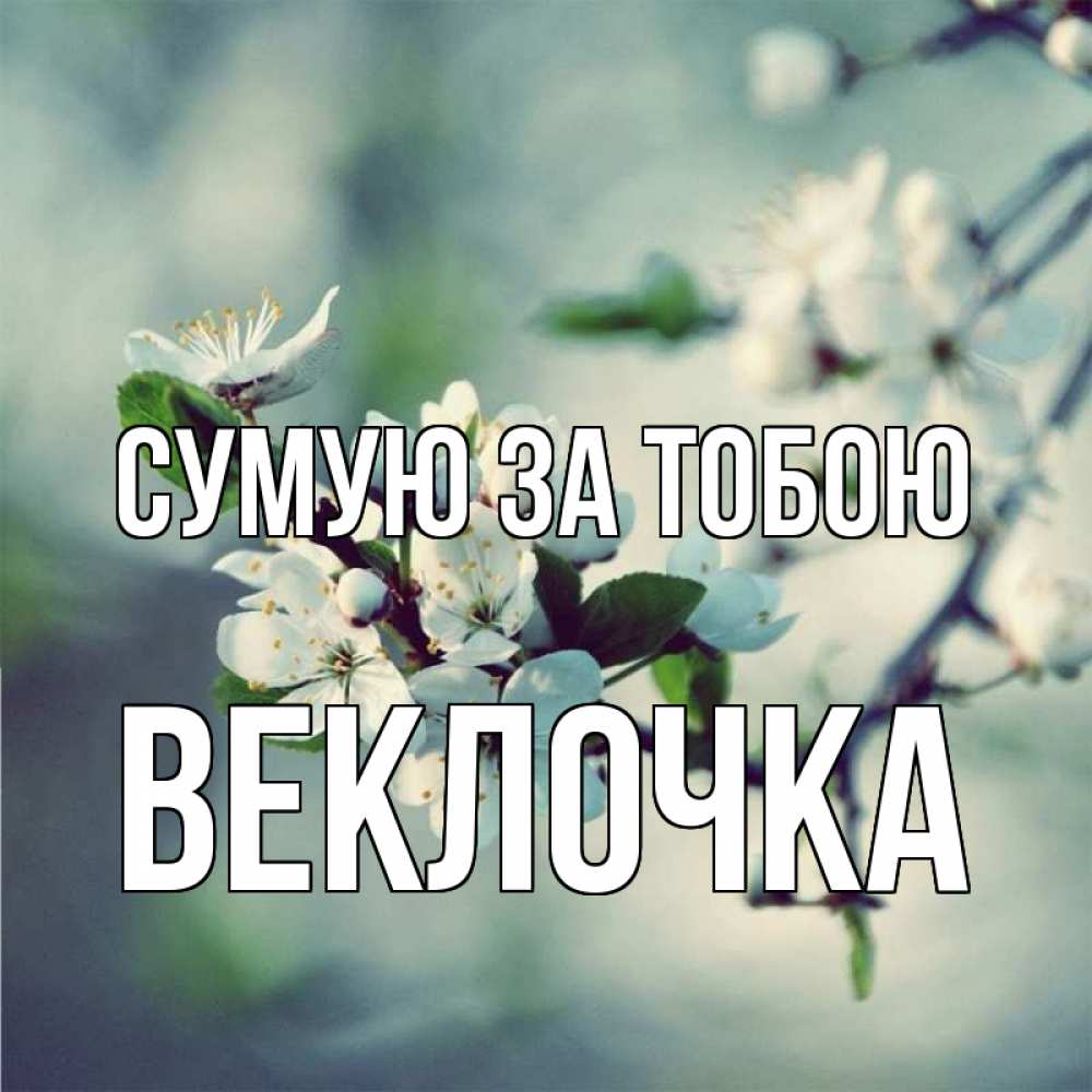 Открытка на каждый день з підписом, Веклочка Сумую за тобою весна Прикольна листівка з побажанням онлайн скачати безкоштовно 