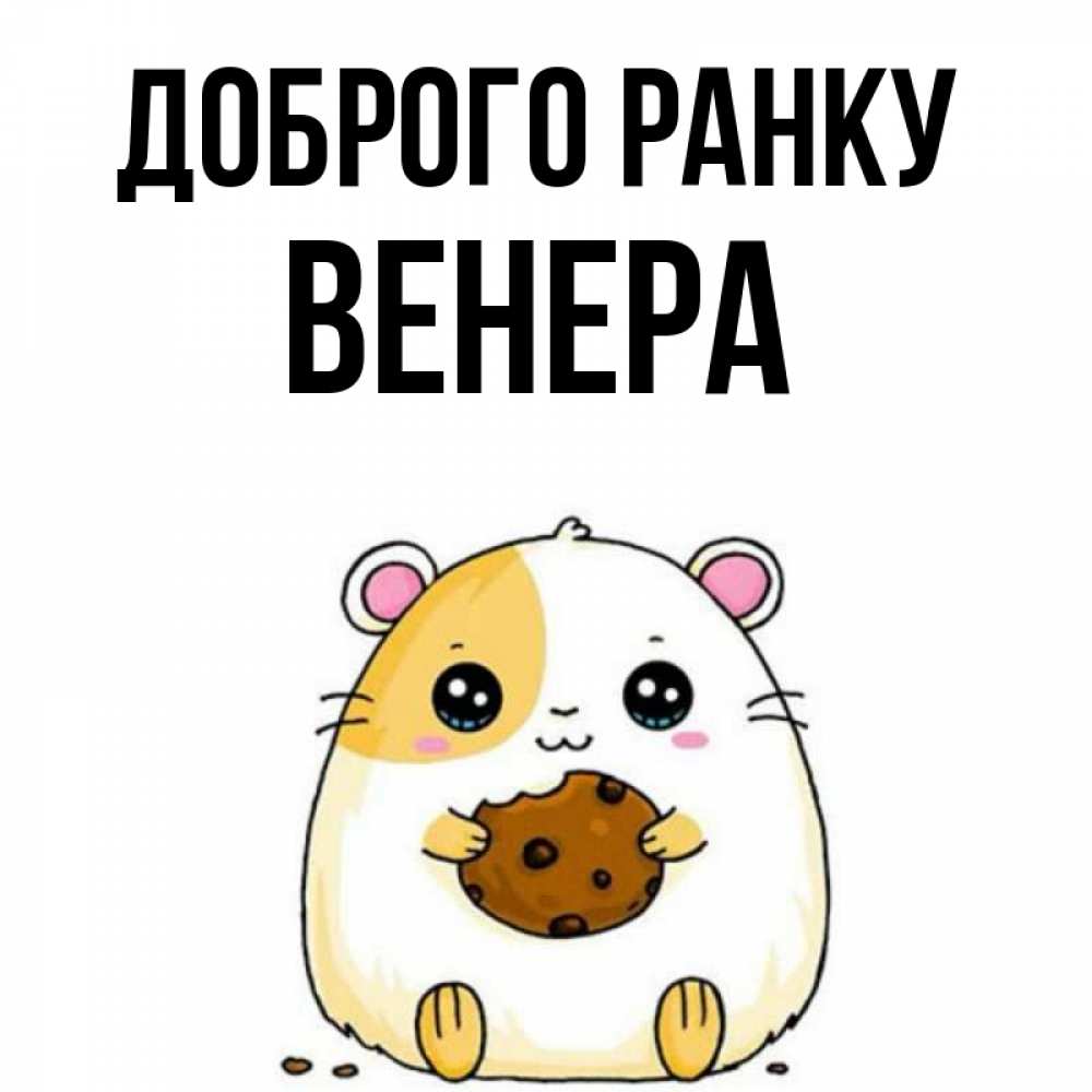 Открытка на каждый день з підписом, Венера Доброго ранку есть печеньку. Утречко Прикольна листівка з побажанням онлайн скачати безкоштовно 