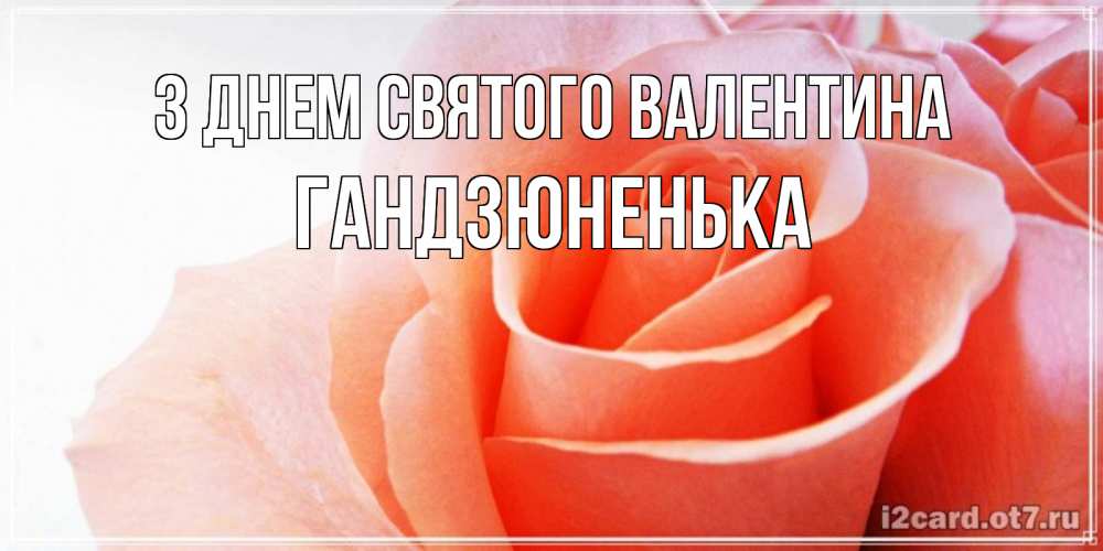 Открытка на каждый день з підписом, Гандзюненька З Днем Святого Валентина открытка на день Святого Валентина с розовой розой Прикольна листівка з побажанням онлайн скачати безкоштовно 
