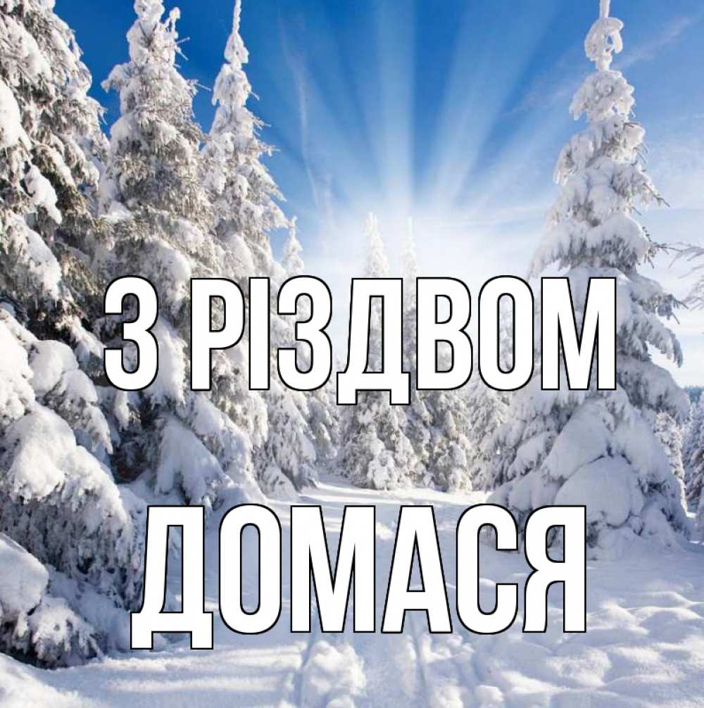 Открытка на каждый день з підписом, Домася З Різдвом зима, лес Прикольна листівка з побажанням онлайн скачати безкоштовно 