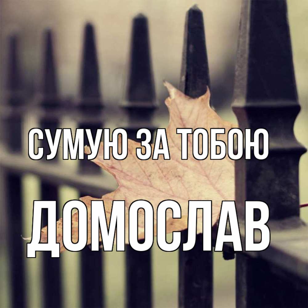 Открытка на каждый день з підписом, Домослав Сумую за тобою очень скучно Прикольна листівка з побажанням онлайн скачати безкоштовно 