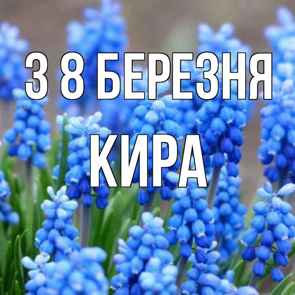 Открытка на каждый день з підписом, Кира З 8 БЕРЕЗНЯ Поздравительная открытка для женщин с цветами на праздничную дату Прикольна листівка з побажанням онлайн скачати безкоштовно 