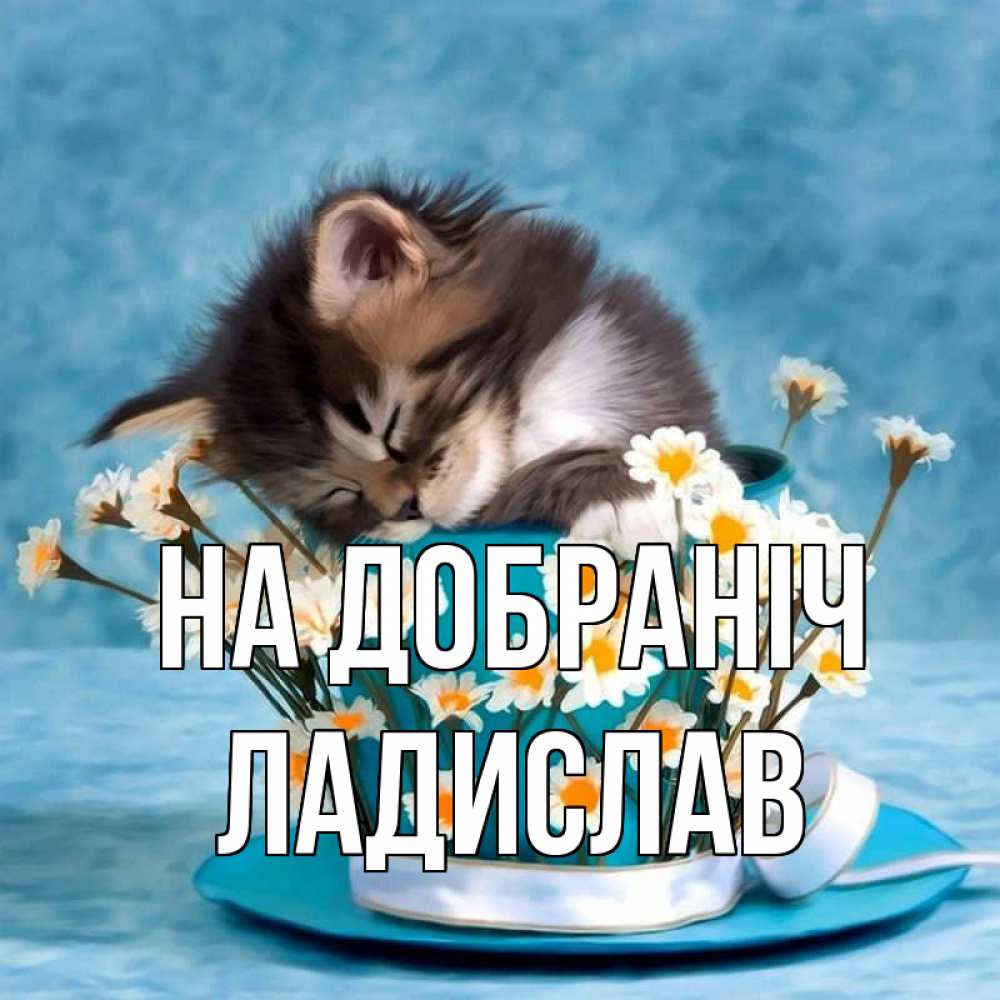 Открытка на каждый день з підписом, Ладислав На добраніч котенок спит в кружке с блюдцем Прикольна листівка з побажанням онлайн скачати безкоштовно 