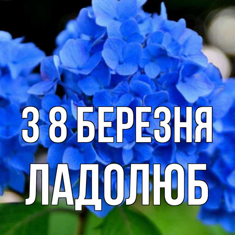 Открытка на каждый день з підписом, Ладолюб З 8 БЕРЕЗНЯ синие цветы Прикольна листівка з побажанням онлайн скачати безкоштовно 