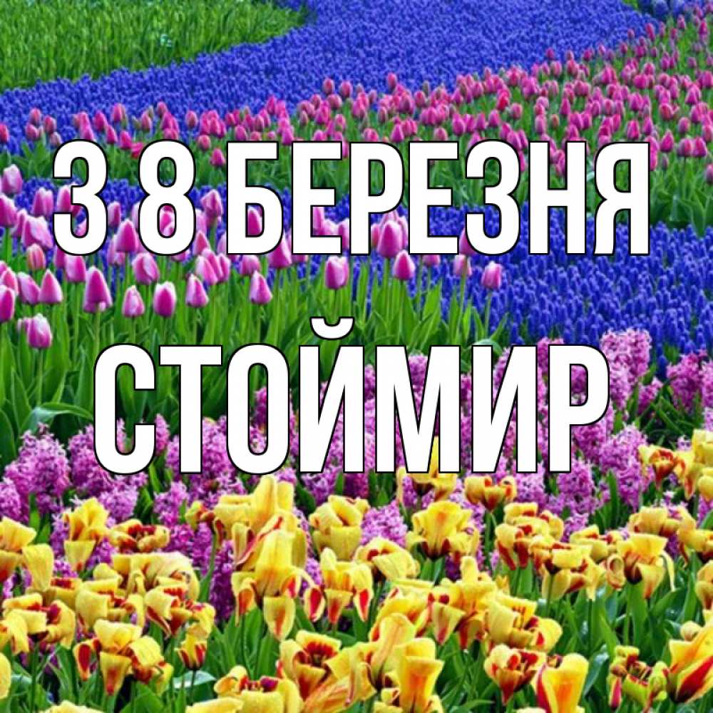 Открытка на каждый день з підписом, Стоймир З 8 БЕРЕЗНЯ цветы Прикольна листівка з побажанням онлайн скачати безкоштовно 