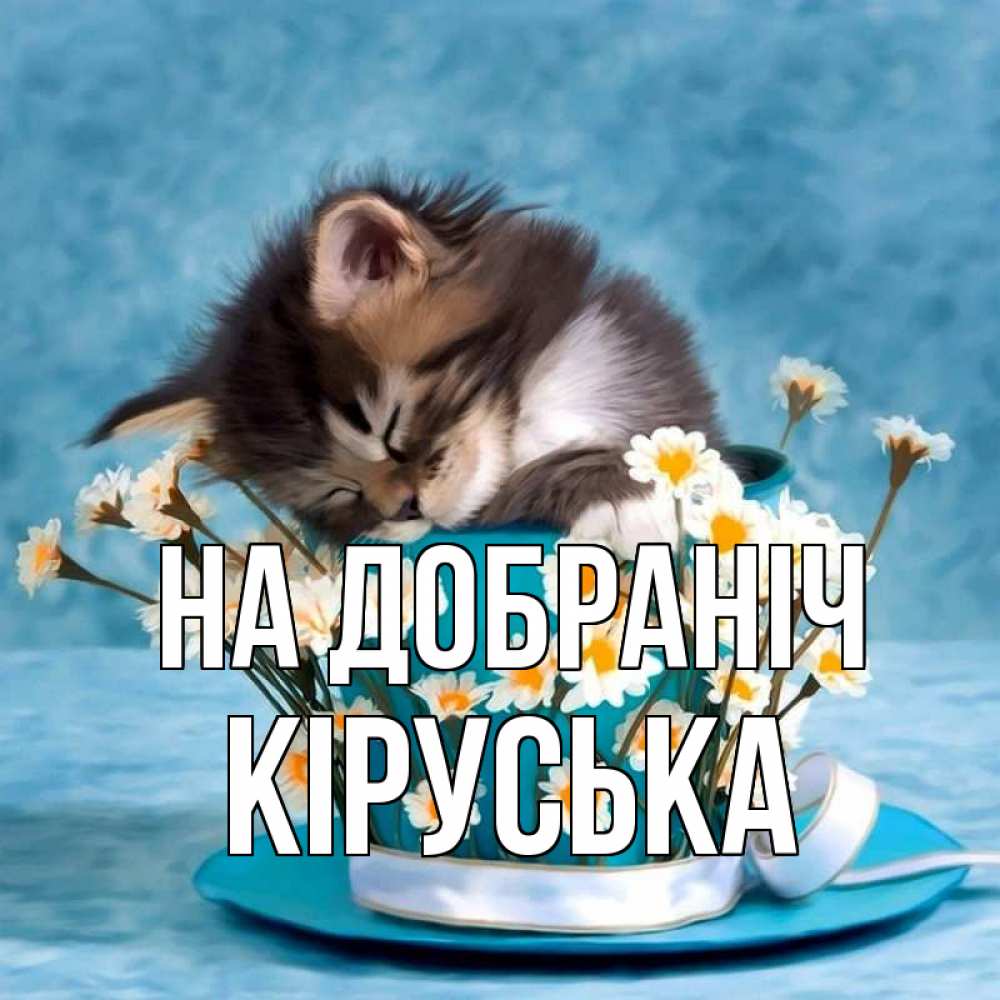 Открытка на каждый день з підписом, Кіруська На добраніч котенок спит в кружке с блюдцем Прикольна листівка з побажанням онлайн скачати безкоштовно 