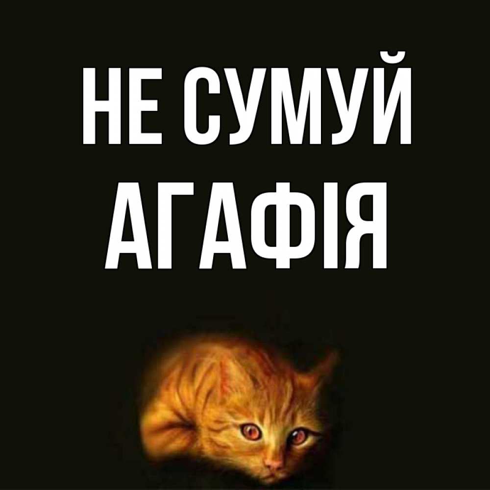 Открытка на каждый день з підписом, Агафія Не сумуй лежащий кот в темноте Прикольна листівка з побажанням онлайн скачати безкоштовно 