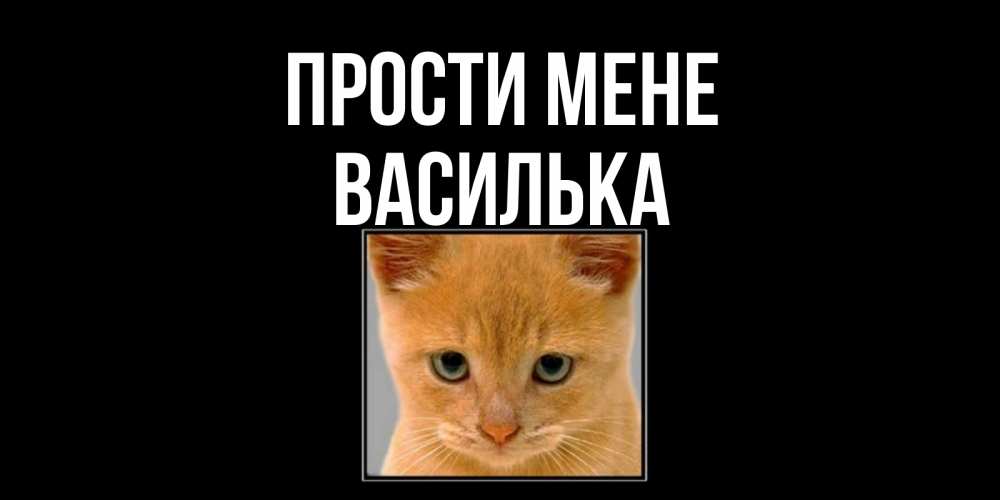 Открытка на каждый день з підписом, Василька Прости мене рыжий грустный кот просит прощения Прикольна листівка з побажанням онлайн скачати безкоштовно 
