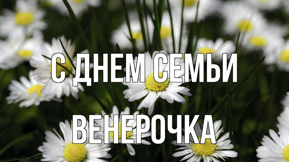 Открытка на каждый день з підписом, Венерочка С днем семьи с днем семьи  2 Прикольна листівка з побажанням онлайн скачати безкоштовно 