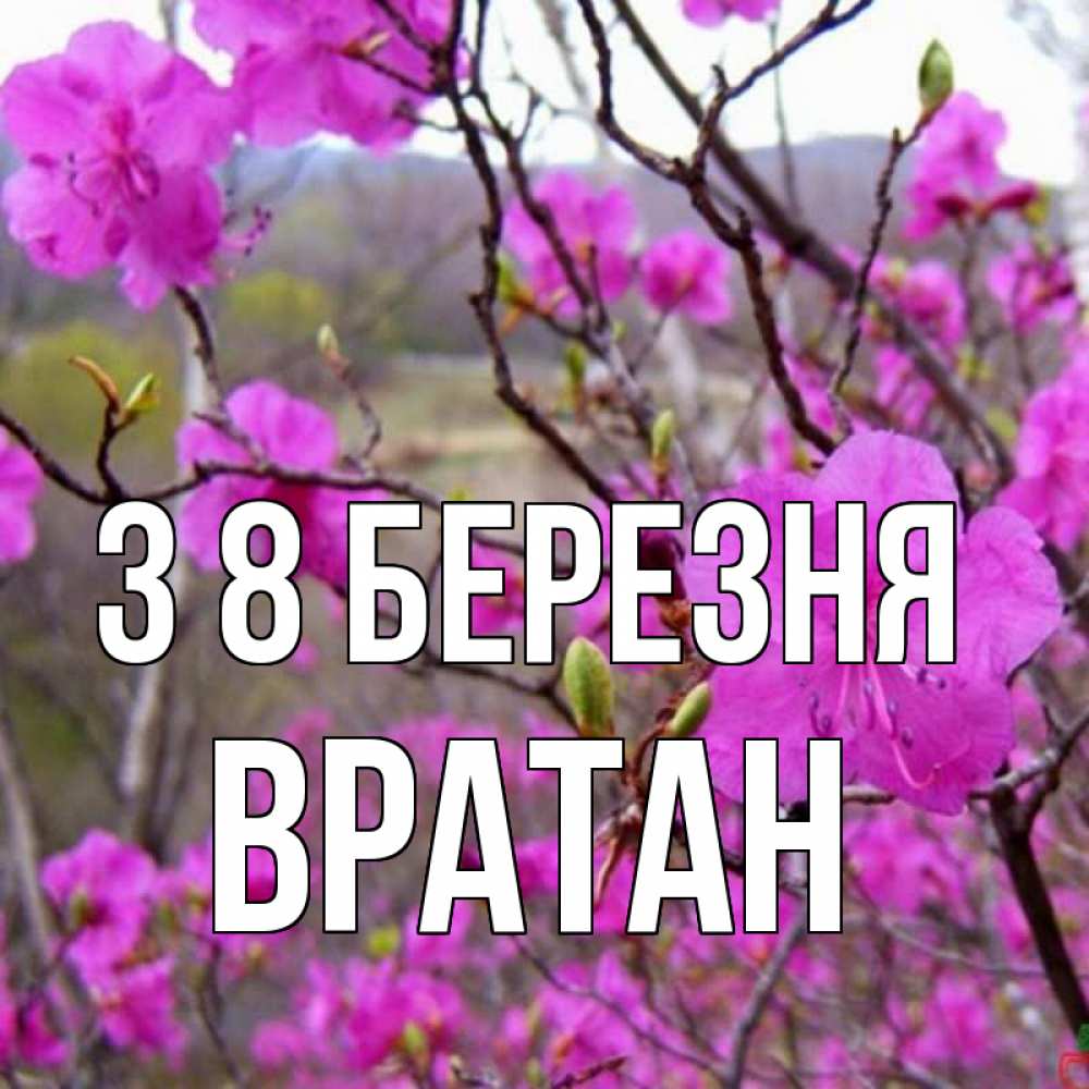 Открытка на каждый день з підписом, Вратан З 8 БЕРЕЗНЯ международный женский день Прикольна листівка з побажанням онлайн скачати безкоштовно 