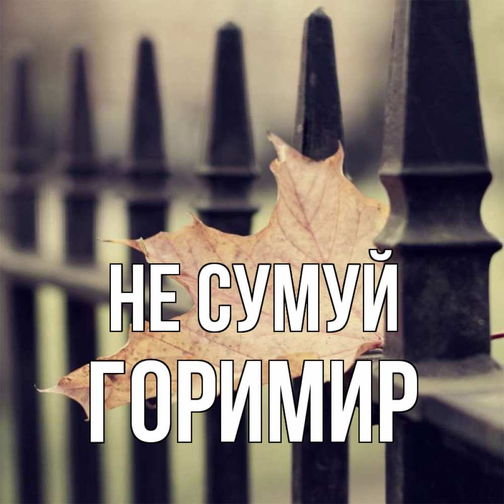 Открытка на каждый день з підписом, Горимир Не сумуй лист клена Прикольна листівка з побажанням онлайн скачати безкоштовно 
