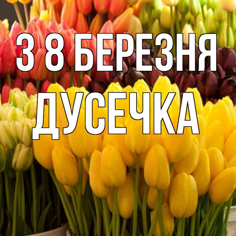 Открытка на каждый день з підписом, Дусечка З 8 БЕРЕЗНЯ цветы Прикольна листівка з побажанням онлайн скачати безкоштовно 