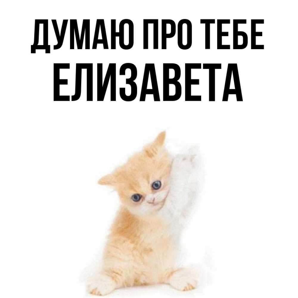 Открытка на каждый день з підписом, Елизавета Думаю про тебе зверушки и милота Прикольна листівка з побажанням онлайн скачати безкоштовно 