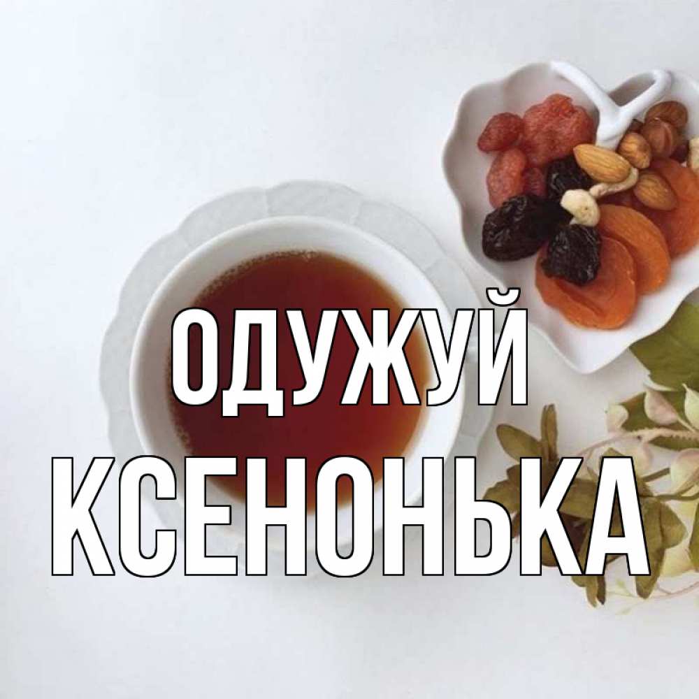 Открытка на каждый день з підписом, Ксенонька Одужуй неизвестные растения Прикольна листівка з побажанням онлайн скачати безкоштовно 