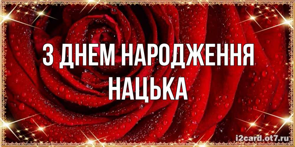 Открытка на каждый день з підписом, Нацька З Днем народження роса на розе блестящая в лучах солнца Прикольна листівка з побажанням онлайн скачати безкоштовно 