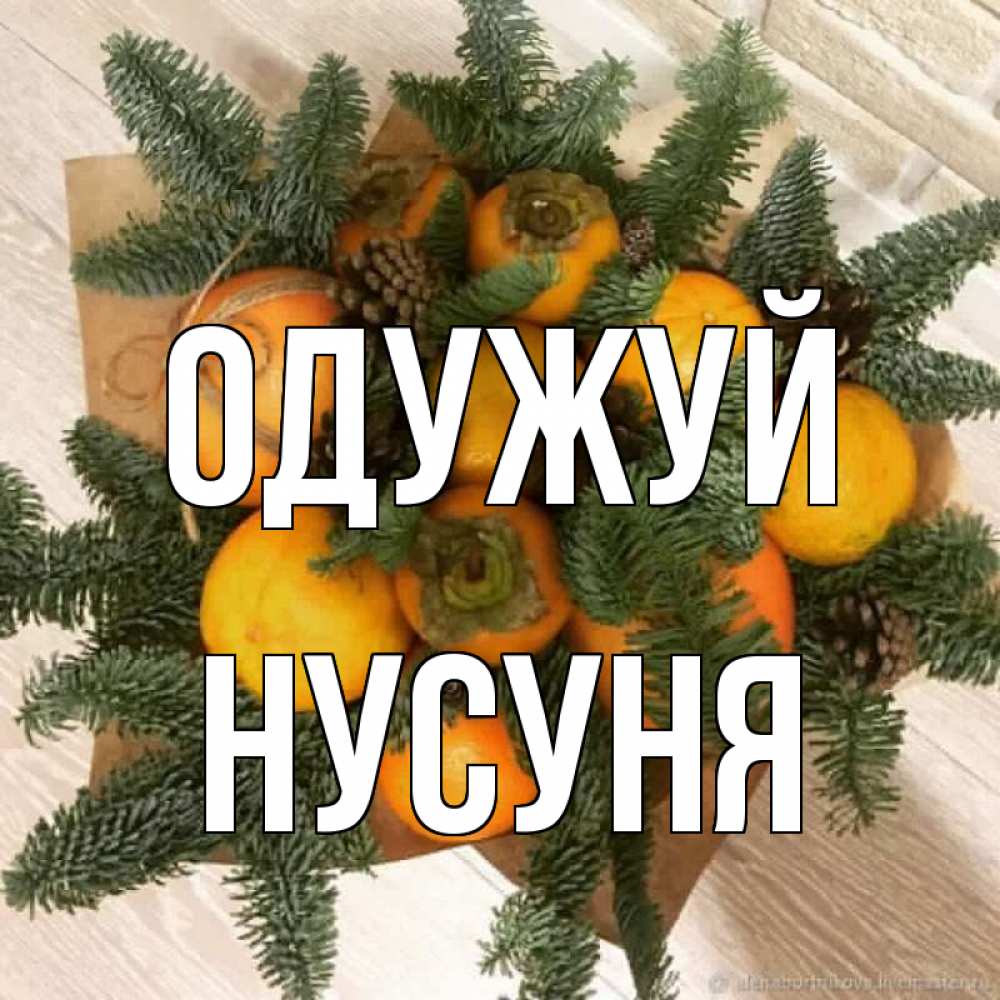 Открытка на каждый день з підписом, Нусуня Одужуй апельсины и хурьма Прикольна листівка з побажанням онлайн скачати безкоштовно 