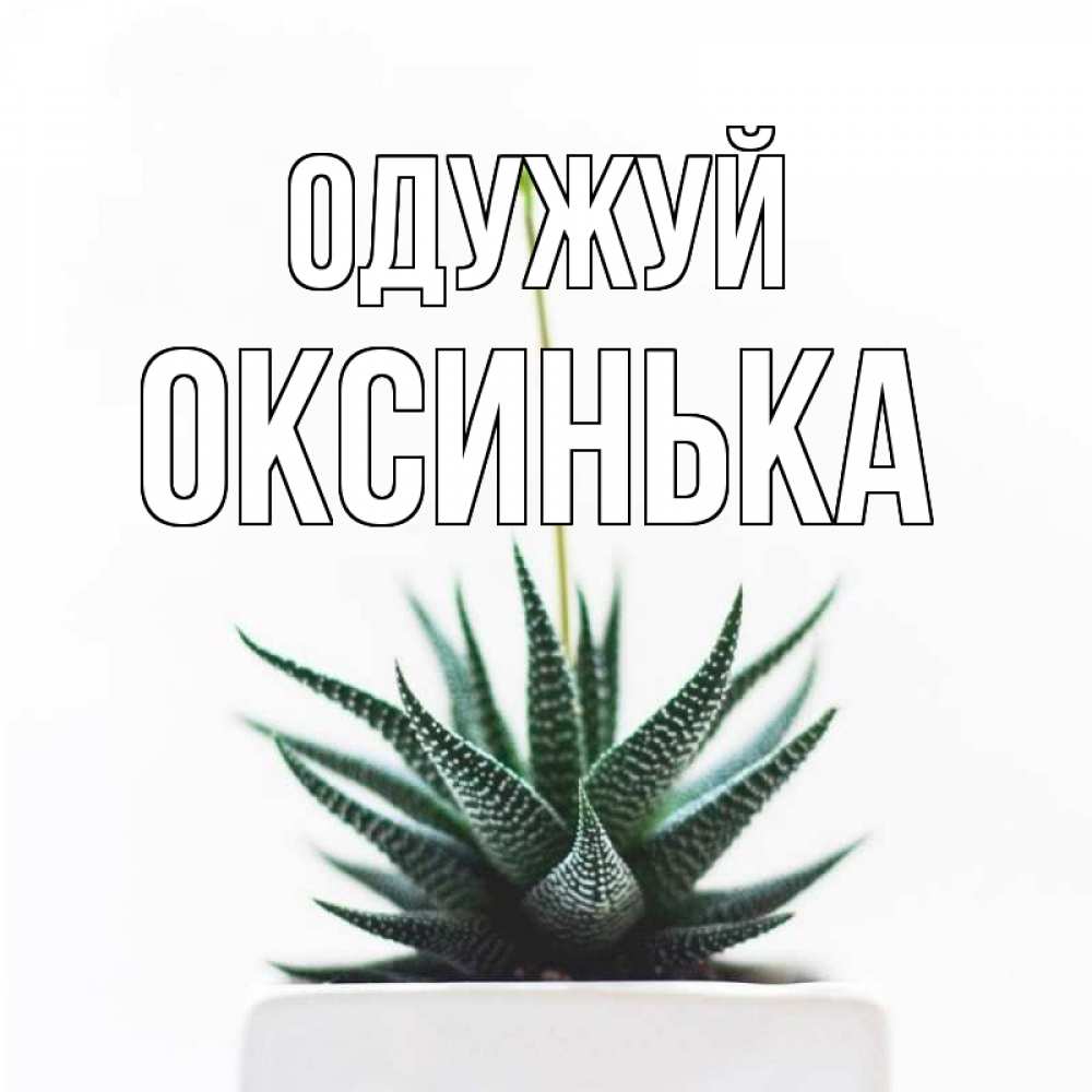 Открытка на каждый день з підписом, Оксинька Одужуй короче это непонятная колючка Прикольна листівка з побажанням онлайн скачати безкоштовно 