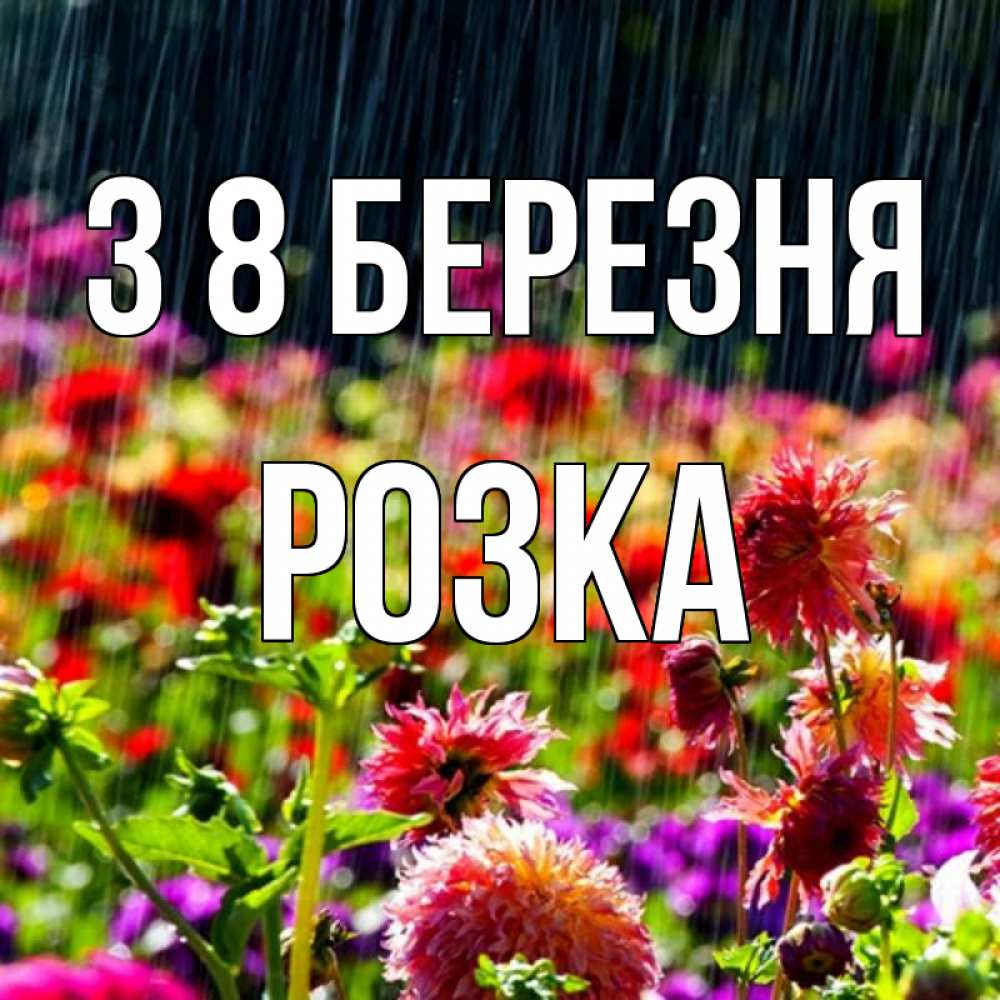 Открытка на каждый день з підписом, Розка З 8 БЕРЕЗНЯ цветы под дождиком к международному женскому дню Прикольна листівка з побажанням онлайн скачати безкоштовно 