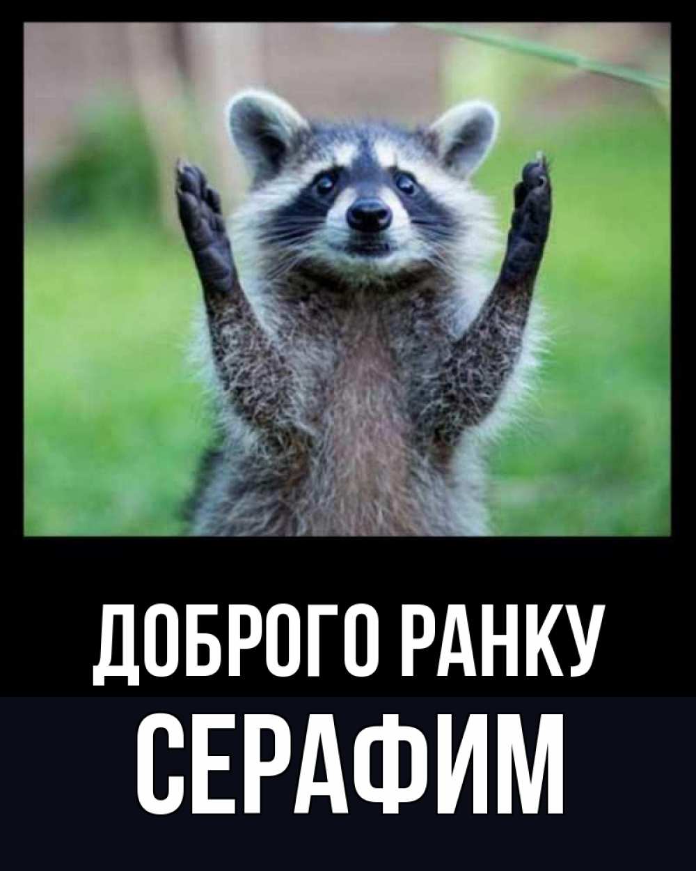Открытка на каждый день з підписом, Серафим Доброго ранку хорошее настроение утречком Прикольна листівка з побажанням онлайн скачати безкоштовно 