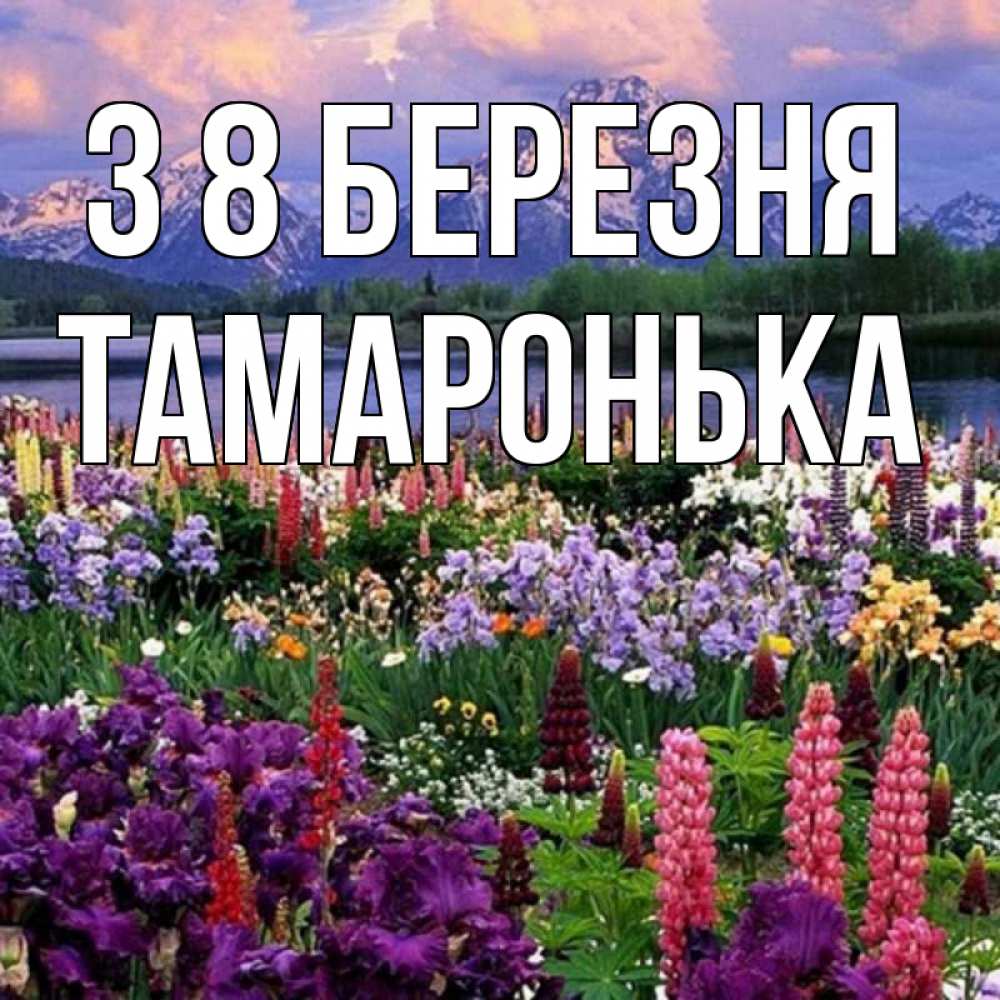 Открытка на каждый день з підписом, Тамаронька З 8 БЕРЕЗНЯ международный женский день Прикольна листівка з побажанням онлайн скачати безкоштовно 