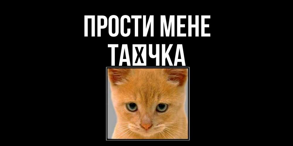 Открытка на каждый день з підписом, Таєчка Прости мене рыжий грустный кот просит прощения Прикольна листівка з побажанням онлайн скачати безкоштовно 