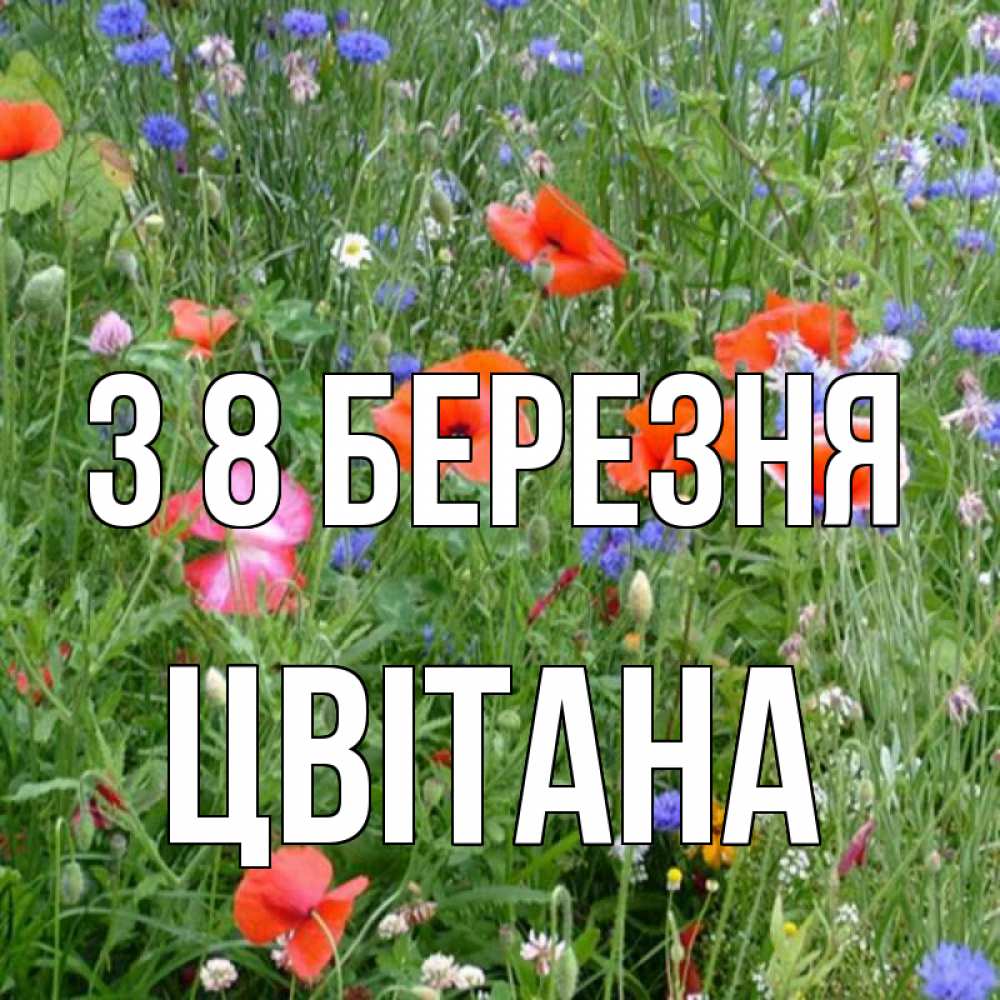 Открытка на каждый день з підписом, Цвітана З 8 БЕРЕЗНЯ международный женский день 4 Прикольна листівка з побажанням онлайн скачати безкоштовно 