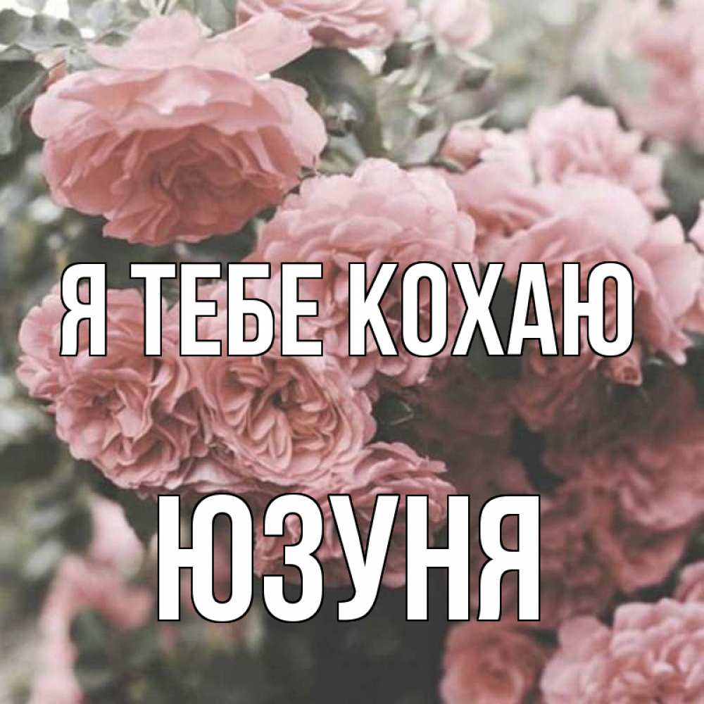Открытка на каждый день з підписом, Юзуня Я тебе кохаю розы 3 Прикольна листівка з побажанням онлайн скачати безкоштовно 