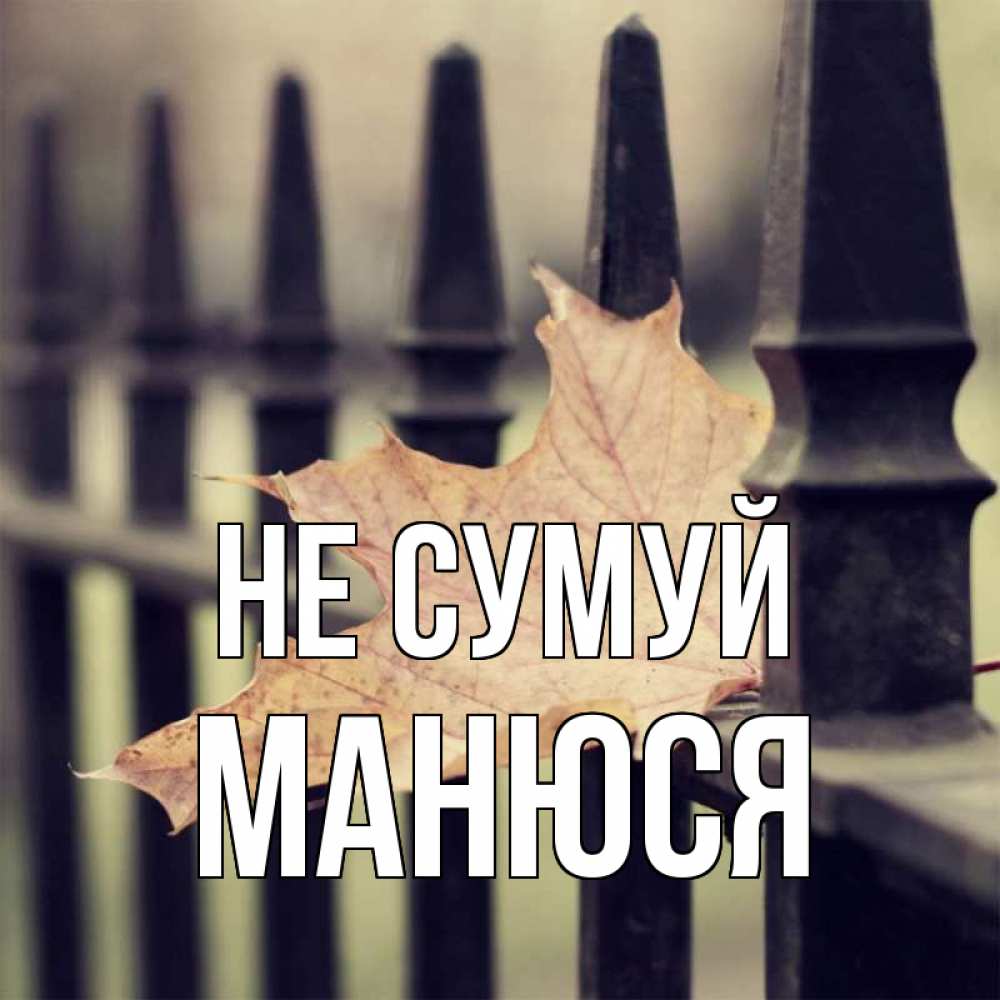 Открытка на каждый день з підписом, Манюся Не сумуй лист клена Прикольна листівка з побажанням онлайн скачати безкоштовно 