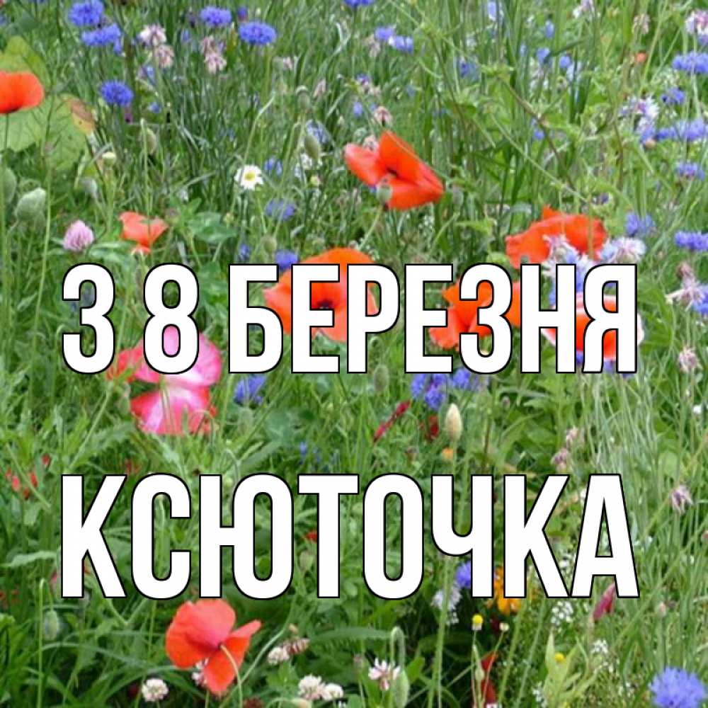 Открытка на каждый день з підписом, Ксюточка З 8 БЕРЕЗНЯ международный женский день 4 Прикольна листівка з побажанням онлайн скачати безкоштовно 