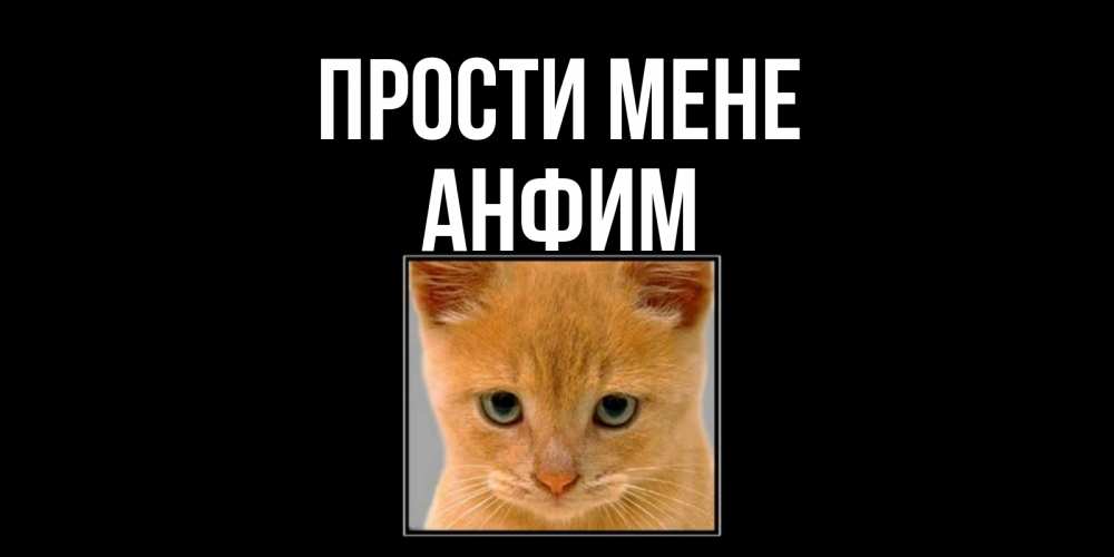 Открытка на каждый день з підписом, Анфим Прости мене рыжий грустный кот просит прощения Прикольна листівка з побажанням онлайн скачати безкоштовно 