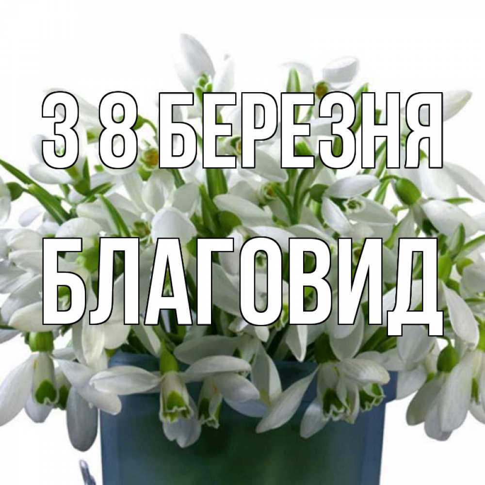 Открытка на каждый день з підписом, Благовид З 8 БЕРЕЗНЯ цветы к международному женскому дню Прикольна листівка з побажанням онлайн скачати безкоштовно 