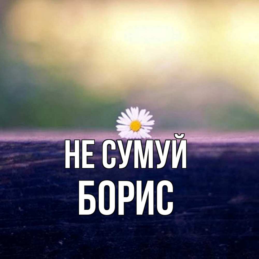Открытка на каждый день з підписом, Борис Не сумуй красота Прикольна листівка з побажанням онлайн скачати безкоштовно 