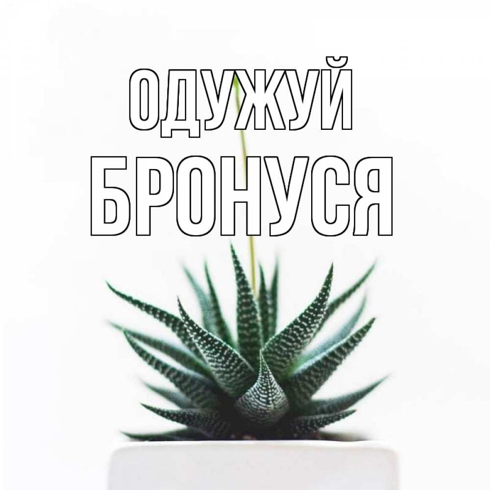 Открытка на каждый день з підписом, Бронуся Одужуй короче это непонятная колючка Прикольна листівка з побажанням онлайн скачати безкоштовно 