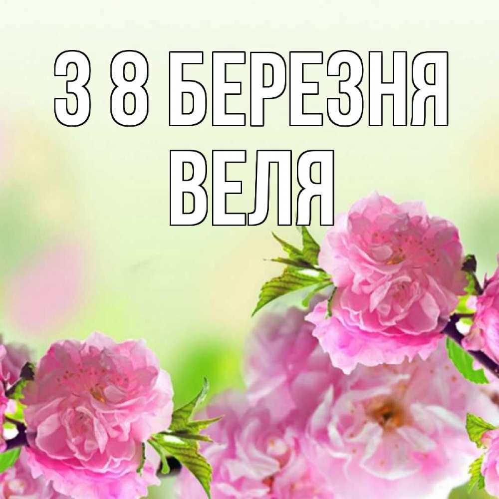 Открытка на каждый день з підписом, Веля З 8 БЕРЕЗНЯ цветы Прикольна листівка з побажанням онлайн скачати безкоштовно 