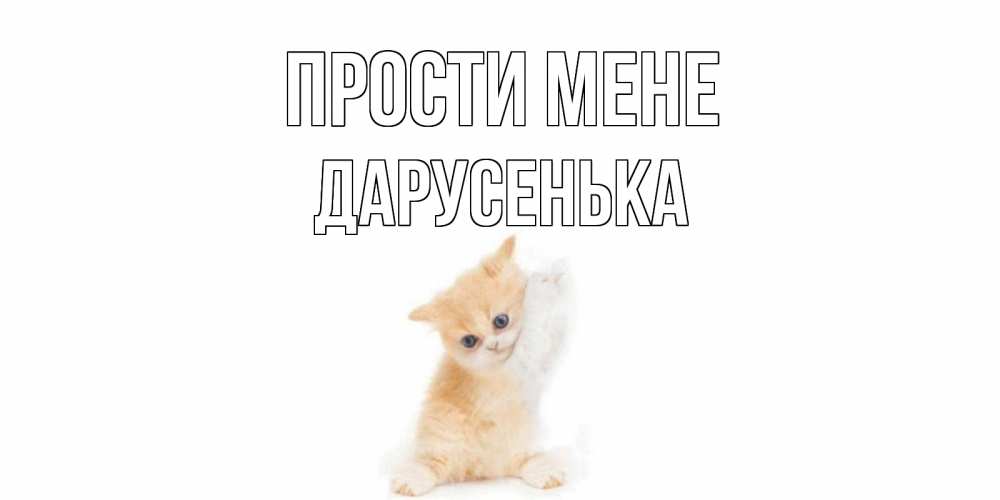 Открытка на каждый день з підписом, Дарусенька Прости мене кот Прикольна листівка з побажанням онлайн скачати безкоштовно 