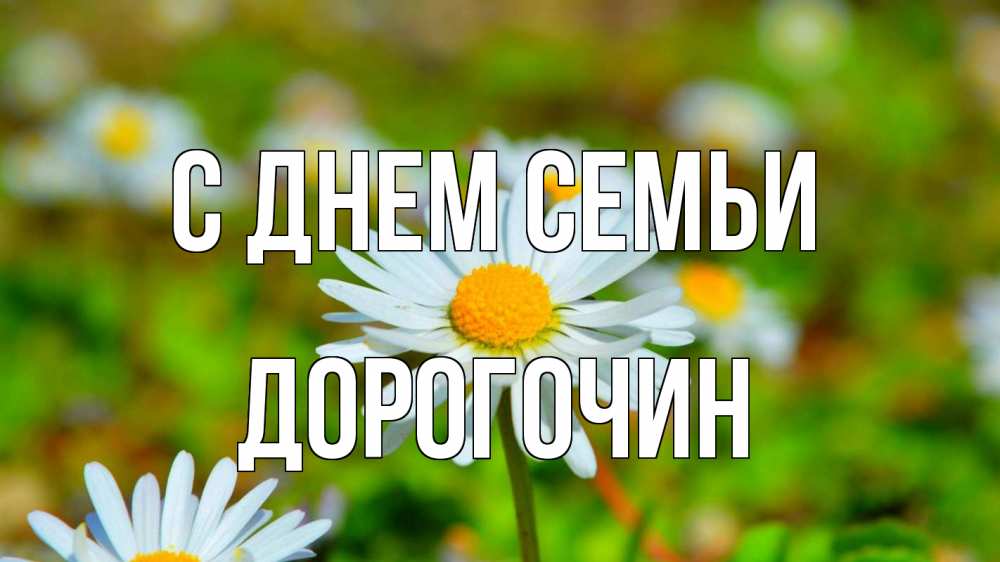 Открытка на каждый день з підписом, Дорогочин С днем семьи с днем семьи Прикольна листівка з побажанням онлайн скачати безкоштовно 