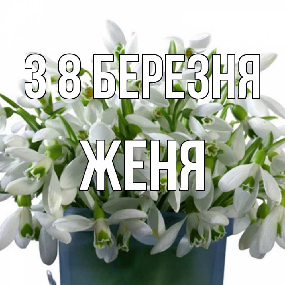 Открытка на каждый день з підписом, Женя З 8 БЕРЕЗНЯ цветы к международному женскому дню Прикольна листівка з побажанням онлайн скачати безкоштовно 