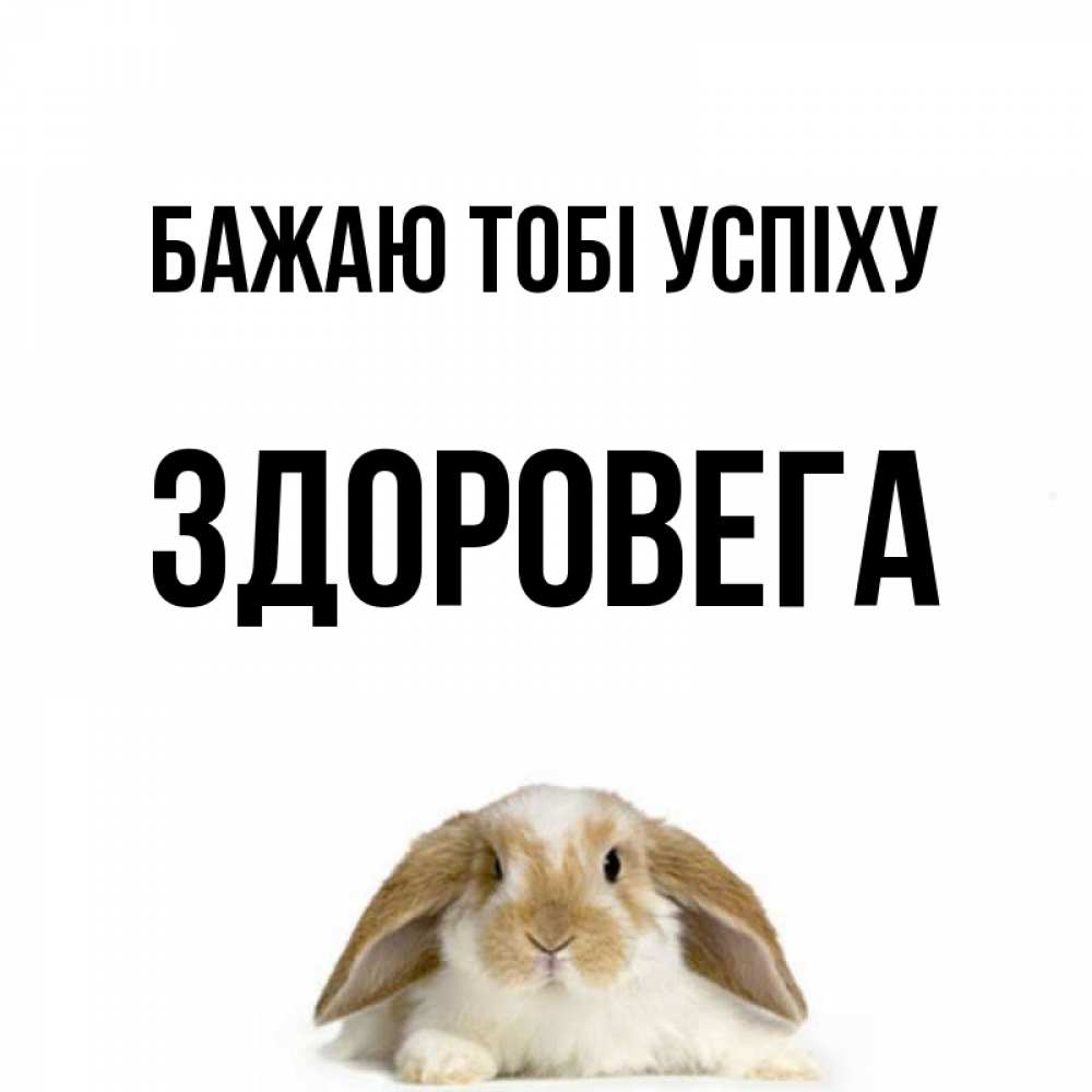 Открытка на каждый день з підписом, Здоровега Бажаю тобі успіху открытки с произвольным текстом который можно вставить в открытку и создать ее самостоятельно бесплатно онлайн Прикольна листівка з побажанням онлайн скачати безкоштовно 