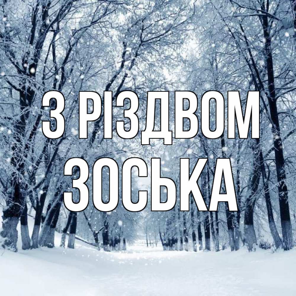 Открытка на каждый день з підписом, Зоська З Різдвом снег, лес, парк Прикольна листівка з побажанням онлайн скачати безкоштовно 