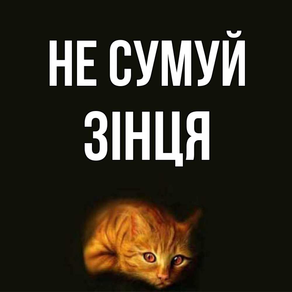 Открытка на каждый день з підписом, Зінця Не сумуй лежащий кот в темноте Прикольна листівка з побажанням онлайн скачати безкоштовно 