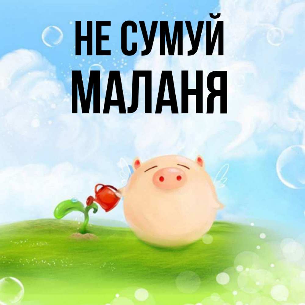 Открытка на каждый день з підписом, Маланя Не сумуй поливает цветок порося Прикольна листівка з побажанням онлайн скачати безкоштовно 