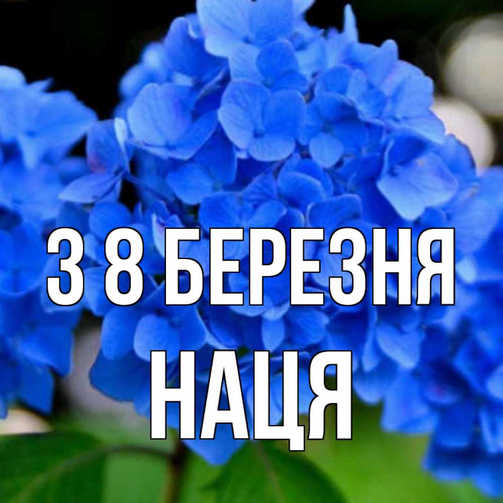 Открытка на каждый день з підписом, Наця З 8 БЕРЕЗНЯ синие цветы Прикольна листівка з побажанням онлайн скачати безкоштовно 
