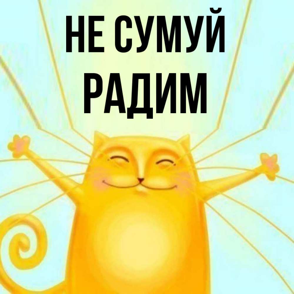 Открытка на каждый день з підписом, Радим Не сумуй обнимашки усатые Прикольна листівка з побажанням онлайн скачати безкоштовно 