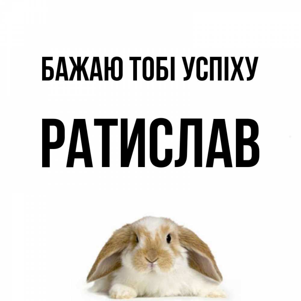 Открытка на каждый день з підписом, Ратислав Бажаю тобі успіху открытки с произвольным текстом который можно вставить в открытку и создать ее самостоятельно бесплатно онлайн Прикольна листівка з побажанням онлайн скачати безкоштовно 