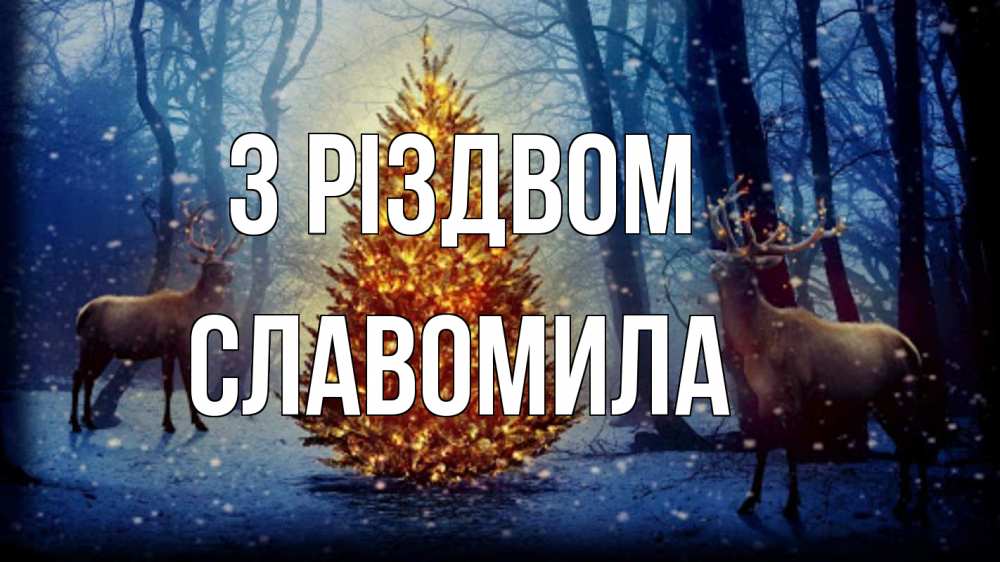 Открытка на каждый день з підписом, Славомила З Різдвом олени, новогодняя елка Прикольна листівка з побажанням онлайн скачати безкоштовно 